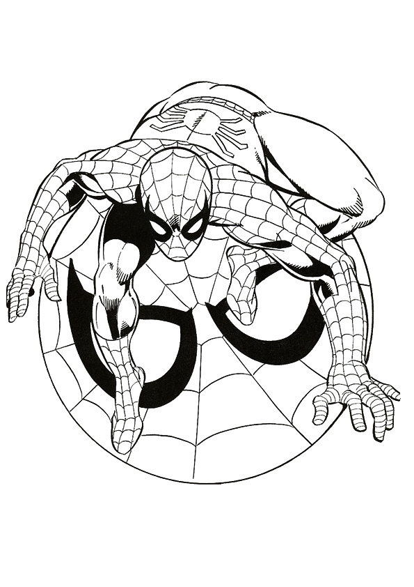 55 Free Coloring Pages Of Spiderman 33