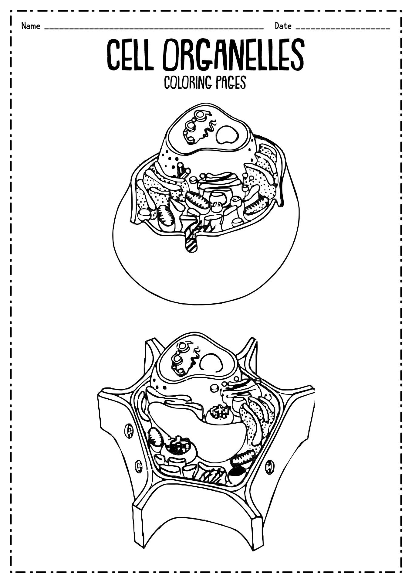 90 Printable Animal Cell Coloring Sheet 56
