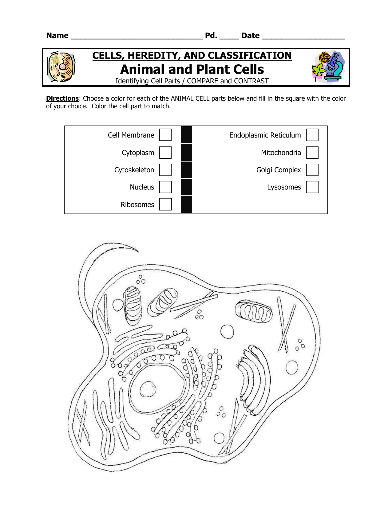 90 Printable Animal Cell Coloring Sheet 58