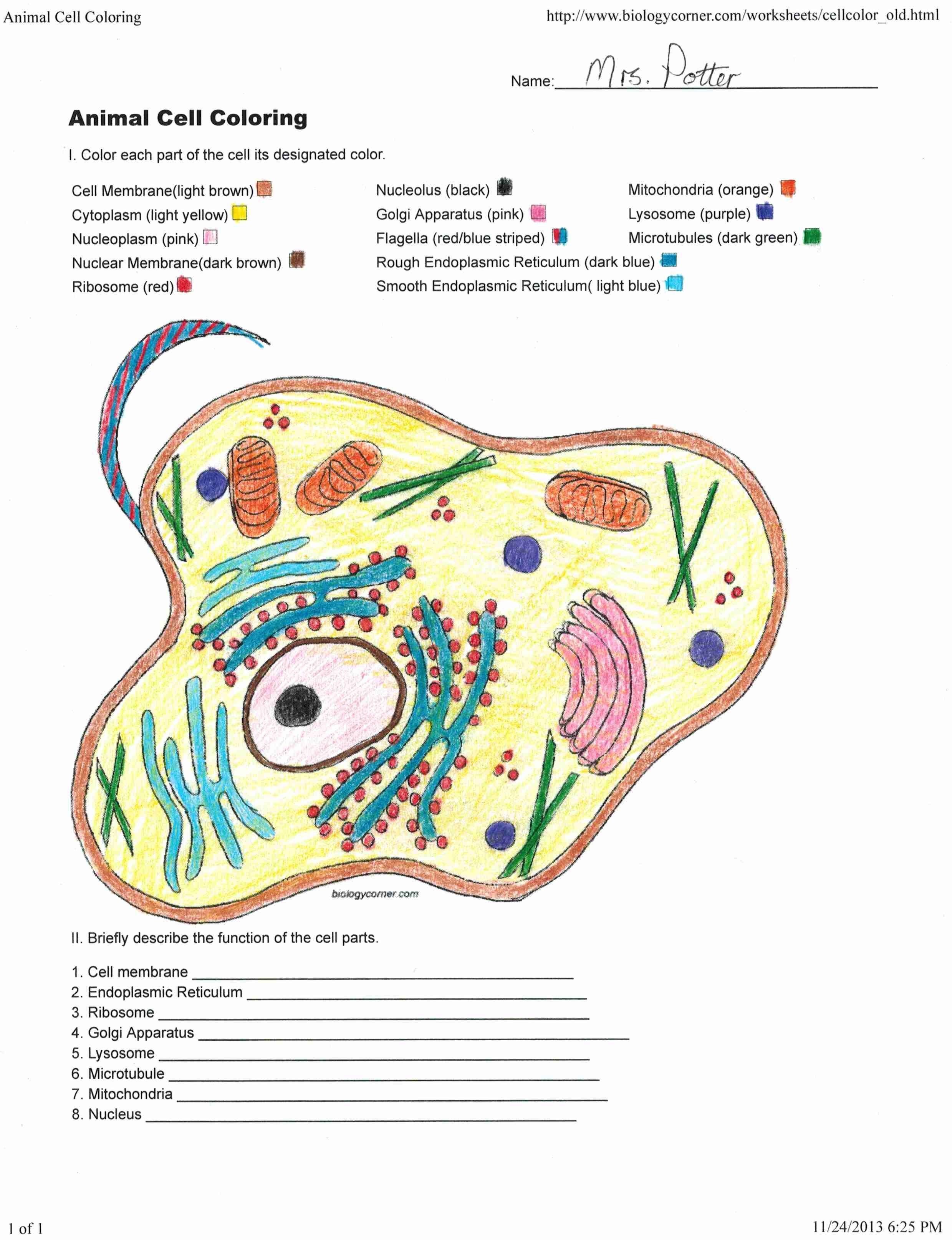 90 Printable Animal Cell Coloring Sheet 71