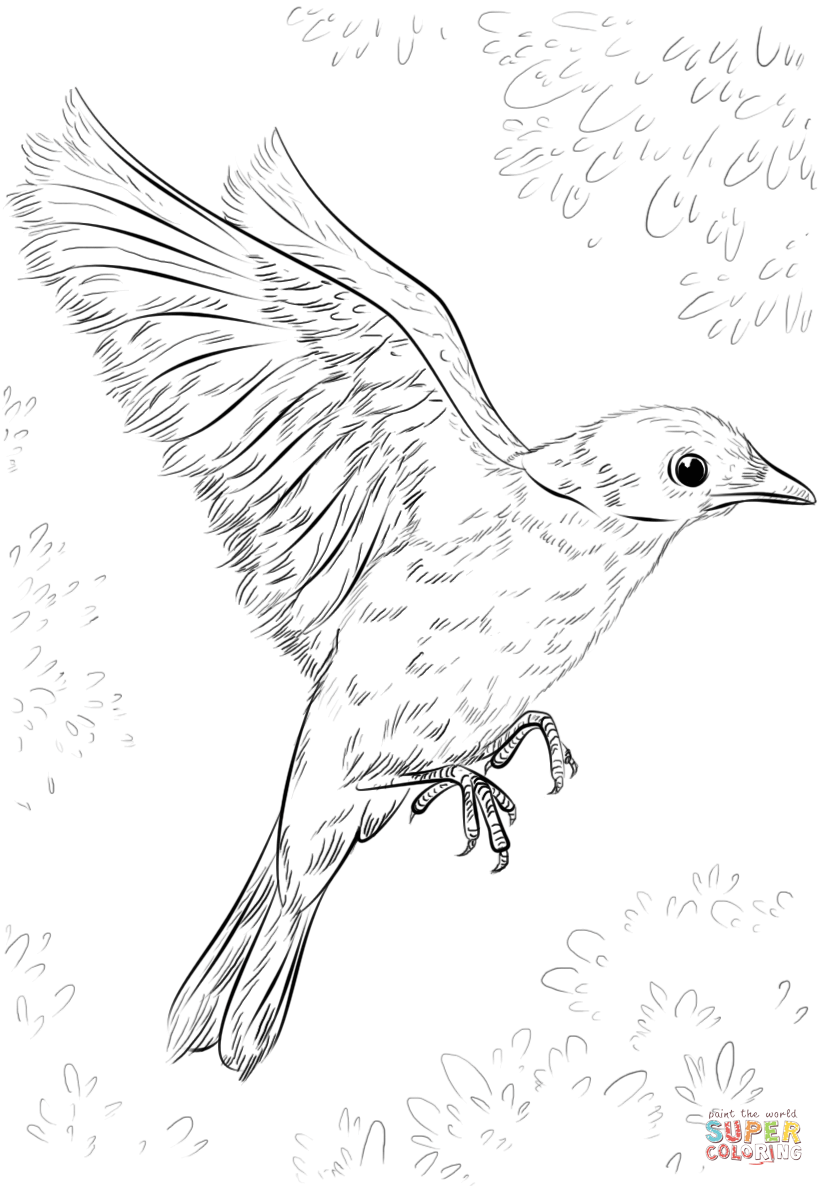 Get 85 Bird Coloring Book Printable Ideas 45