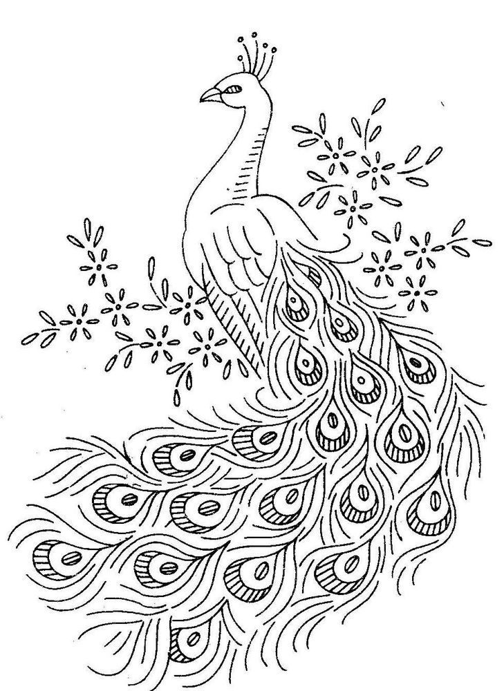 Get 85 Coloring Sheets Of Birds Ideas 36