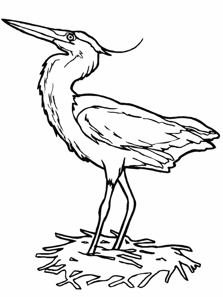 Get 85 Coloring Sheets Of Birds Ideas 41