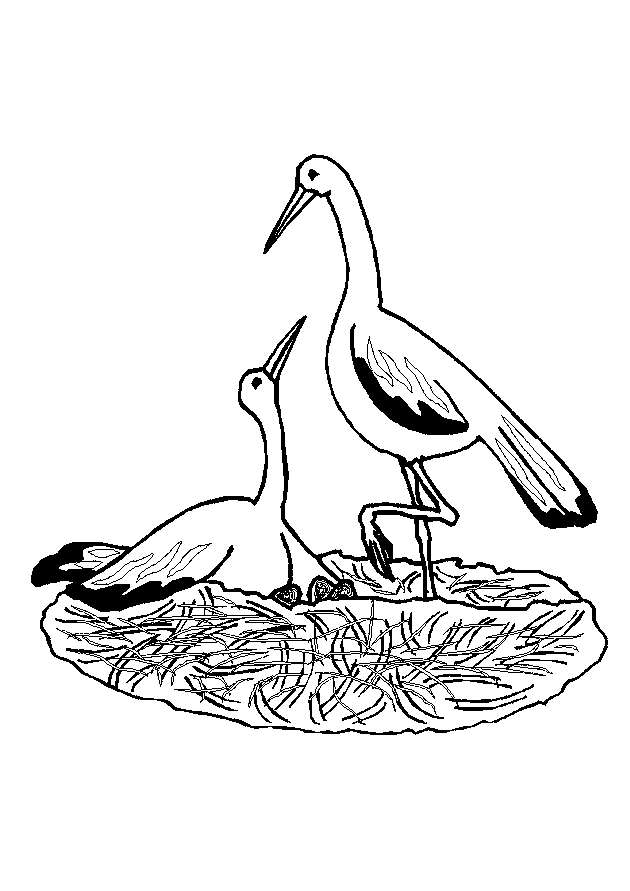 Get 85 Coloring Sheets Of Birds Ideas 42